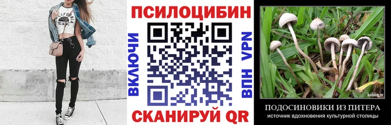 мориарти формула  купить наркотик  Бугуруслан  Галлюциногенные грибы MAGIC MUSHROOMS 